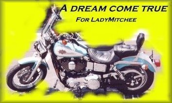 My 1997 Dyna Low Rider.jpg